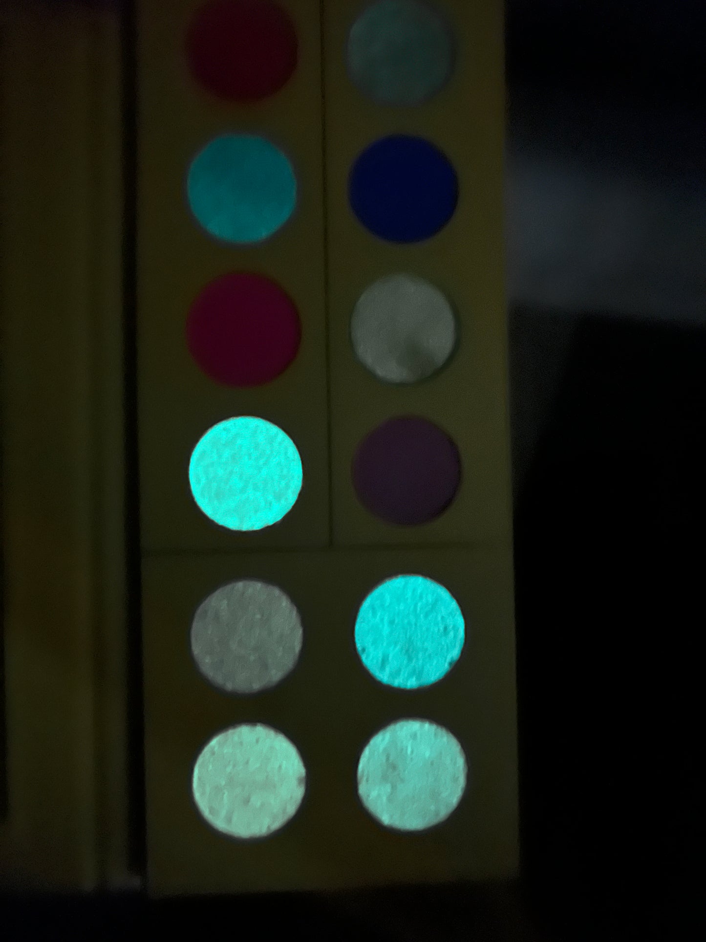 “Glow In the Night” 12 pan Eyeshadow palette glow in the dark shades PREORDER Launches in October