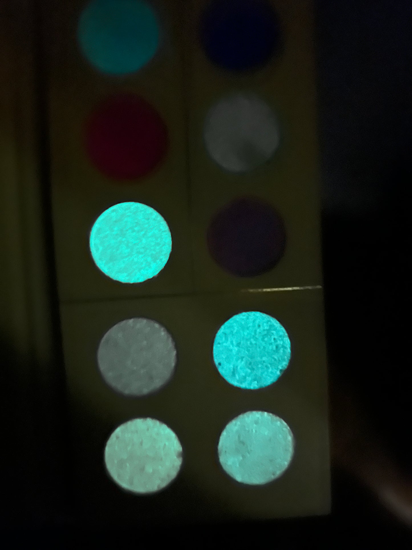 “Glow In the Night” 12 pan Eyeshadow palette glow in the dark shades PREORDER Launches in October