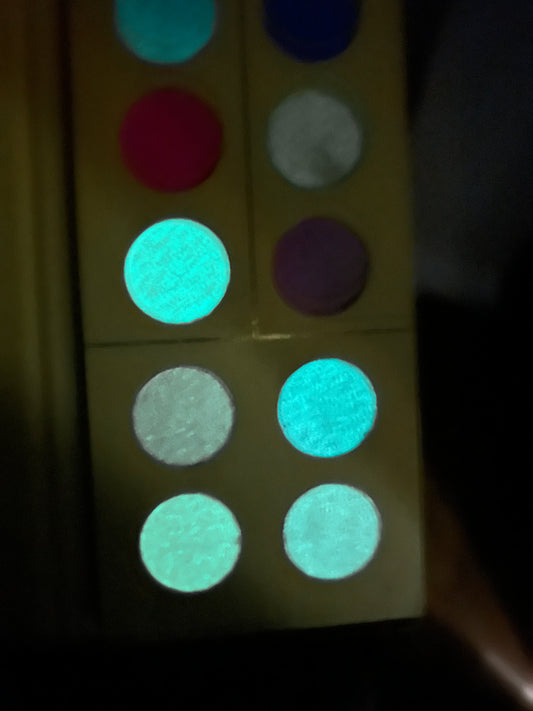 “Glow In the Night” 12 pan Eyeshadow palette glow in the dark shades PREORDER Launches in October